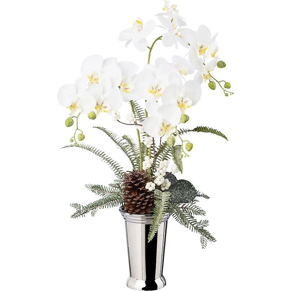 kaiserkraft Arreglo de Phalaenopsis en jarrón de cerámica, altura total 700 mm, blanco