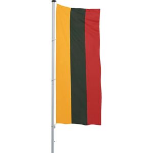 Mannus Bandera para izar/bandera del país, formato 1,2 x 3 m, Lituania