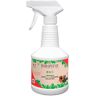 Biospotix Rociado interior 500mL