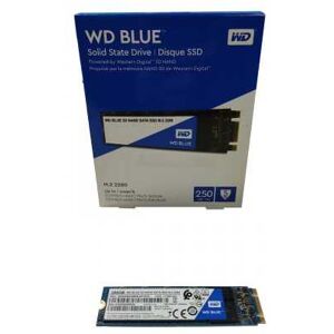 WESTERN DIGITAL Disco Duro Solido WD SSD 250 GB M2 WDS250G2B0B