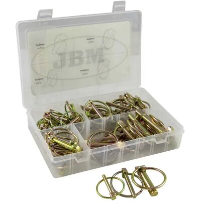 Jbm Estuche De Alfileres Con Anillo 50 Piezas Black / Green One Size Jbm Estuche De Alfileres Con Anillo 50 Piezas Black / Green One Size