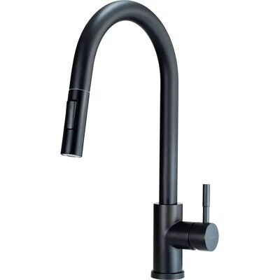 Mezclador de cocina negro Lima - Ducha extraíble, 2 flujos Mezclador de cocina negro Lima - Ducha extraíble, 2 flujos