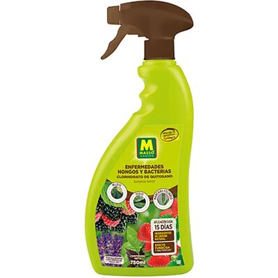 Masso Spray De Setas 231063d 750ml Brown One Size Masso Spray De Setas 231063d 750ml Brown One Size