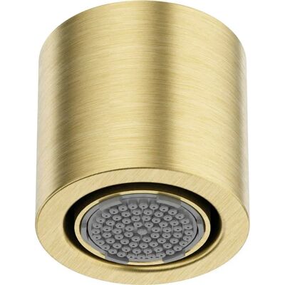 Cabeza de ducha Serie 600, 1 modo, oro cepillado - Shower Head Cabeza de ducha Serie 600, 1 modo, oro cepillado - Shower Head