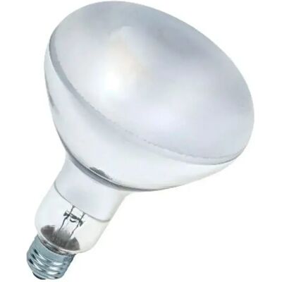 Bailey Electric & Electronics UV27230300F/02 Bombilla Incandescente - Luz UV Bailey Electric & Electronics UV27230300F/02 Bombilla Incandescente - Luz UV