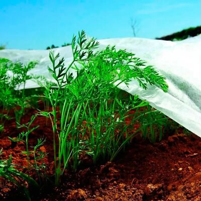 Biotop Tejido De Protección 30gr/m2 2x20 M White One Size Biotop Tejido De Protección 30gr/m2 2x20 M White One Size