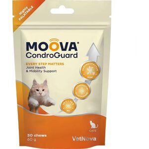 Vetnova Suplemento Nutricional Moova Condroguard 30 Unidades Orange One Size Vetnova Suplemento Nutricional Moova Condroguard 30 Unidades Orange One Size