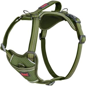 Company Of Animals Arnés Para Perros Halti Anatomy Dog Green XL Company Of Animals Arnés Para Perros Halti Anatomy Dog Green XL