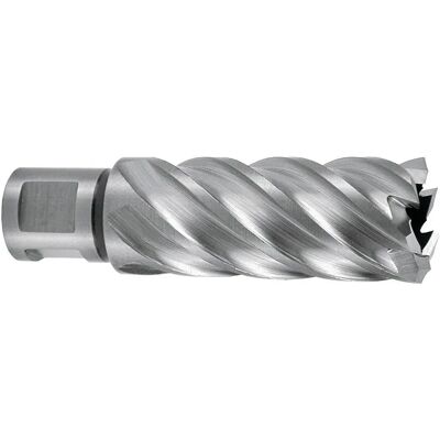 Ruko Broca Hueca 108550e Hsse-co 5 Weldon Cbn 3/4´´ 55 Mm Ø 50.0 Mm Silver One Size Ruko Broca Hueca 108550e Hsse-co 5 Weldon Cbn 3/4´´ 55 Mm Ø 50.0 Mm Silver One Size