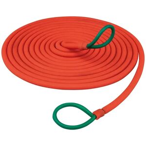 Salvimar Núcleo De Bungee Dyneema 9 Mm Red 5 m Salvimar Núcleo De Bungee Dyneema 9 Mm Red 5 m