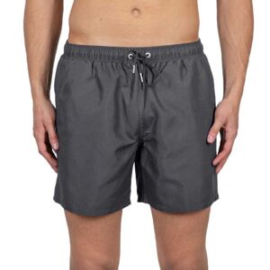 Alpha Hydrochromic All Over Print Swimming Shorts Gris 2XS Hombre