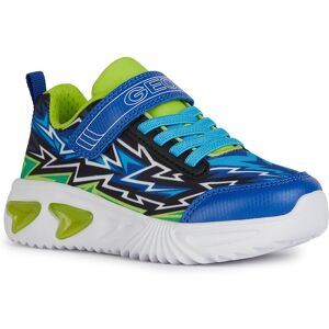 Geox Assister Trainers Azul EU 29 Niño