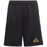 Adidas House Of Tiro Su Shorts Negro 7-8 Years Niño