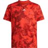 Adidas Q2 Rg Short Sleeve T-shirt Rojo 7-8 Years Niño