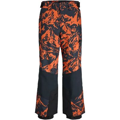 Jack & Jones Pantalones Alpes Exuberance / Aop Branding 2XL Jack & Jones Pantalones Alpes Exuberance / Aop Branding 2XL