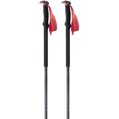 Dynafit Tour - Bastones de esquí 145 cm Gris/Rojo Dynafit Tour - Bastones de esquí 145 cm Gris/Rojo