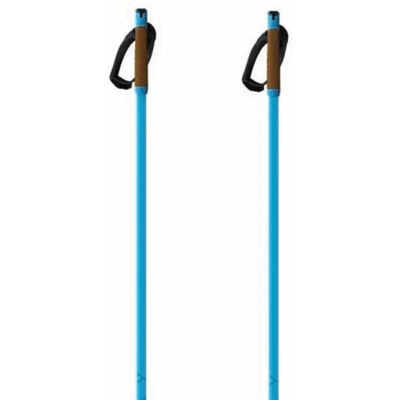 Fischer Bastones Storm Gtx S Blue 170 cm Fischer Bastones Storm Gtx S Blue 170 cm