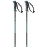 Salomon Arctic Poles Woman Gris 100 cm