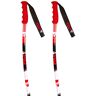 Vola Gs Alu Poles Multicolor 120 cm