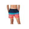 Speedo Print Volley 17´´ Swimming Shorts Azul M Hombre