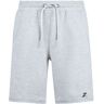 Zoggs Jacob Bermudas Gris 2XL Hombre