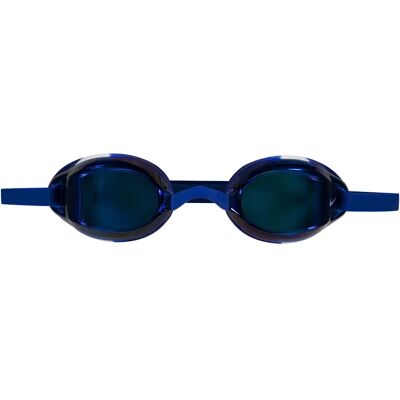 Nike Gafas De Natación Para Niños Legacy Mirrored Game Royal One Size Nike Gafas De Natación Para Niños Legacy Mirrored Game Royal One Size