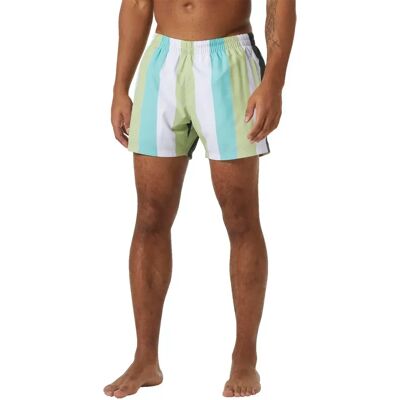 Helly Hansen Bañador Corto Newport Iced Matcha Multistripe Wd S Helly Hansen Bañador Corto Newport Iced Matcha Multistripe Wd S