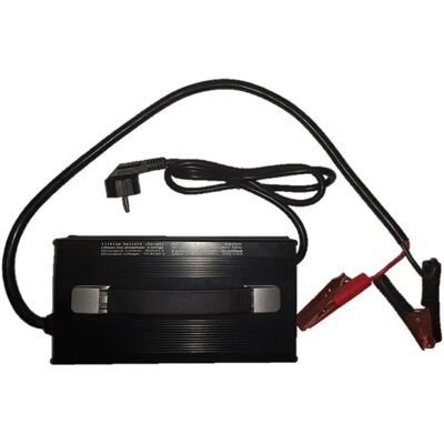 Zasdar Cargador Lifepo4 30a Black One Size Zasdar Cargador Lifepo4 30a Black One Size
