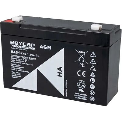Gp Batteries Batería Heycar Ha 12ah 6v Black One Size Gp Batteries Batería Heycar Ha 12ah 6v Black One Size