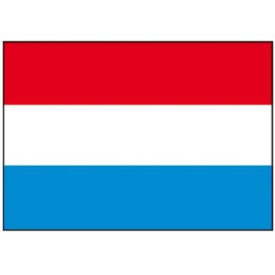 Talamex Holandés 5 Unidades Red / White / Blue 20 x 30 cm Talamex Holandés 5 Unidades Red / White / Blue 20 x 30 cm