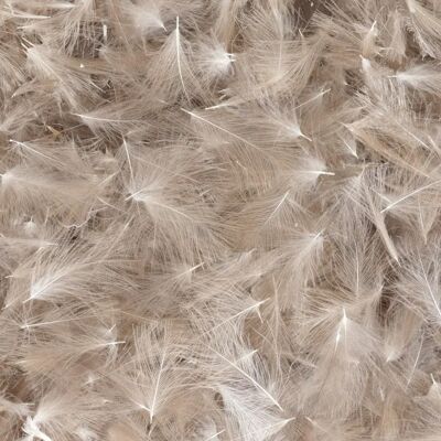 Baetis Pluma Cdc Wild Brown 5 g Baetis Pluma Cdc Wild Brown 5 g
