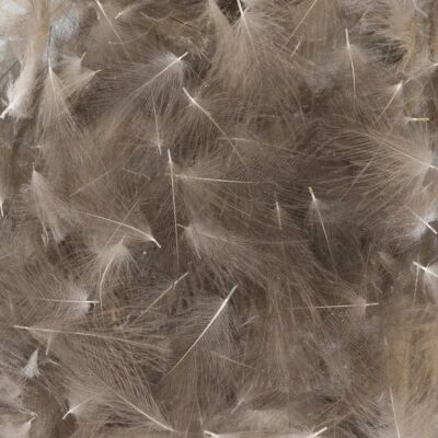 Baetis Pluma Cdc Wild Grey 5 g Baetis Pluma Cdc Wild Grey 5 g
