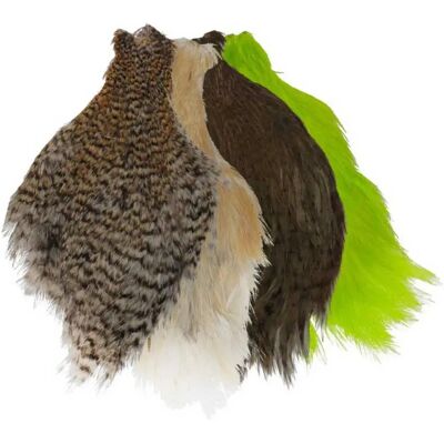 Wapsi Cuello Streamer Rooster - Streamer Wapsi Cuello Streamer Rooster - Streamer