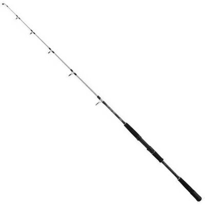 Caña de Pescar Mitchell Tanager Sw - 1,62 m, 30 Lbs, Resistente a Sal Caña de Pescar Mitchell Tanager Sw - 1,62 m, 30 Lbs, Resistente a Sal
