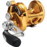 Penn International Visx Trolling Reel Dorado,Plateado 50