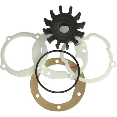Talamex 17200107 Impulsor Interno De Neopreno Con Transmisión Estriada Con Junta Y Tapa Black One Size Talamex 17200107 Impulsor Interno De Neopreno Con Transmisión Estriada Con Junta Y Tapa Black One Size
