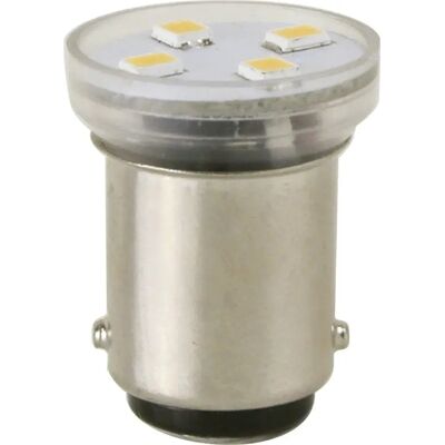 Scandvik Bombilla Led Blanca Wafwer Grey 55 Lúmenes Scandvik Bombilla Led Blanca Wafwer Grey 55 Lúmenes
