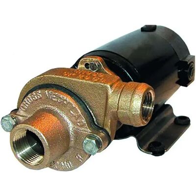 Groco Bomba Centrífuga 12v One Size Groco Bomba Centrífuga 12v One Size