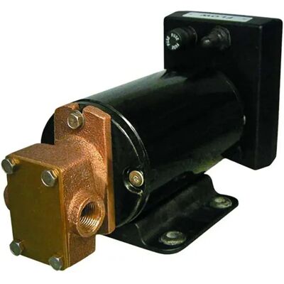 Groco Bomba De Engranajes Reversible 12v One Size Groco Bomba De Engranajes Reversible 12v One Size