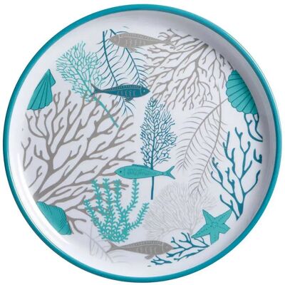 Marine Business Platos Llanos Costeros 6 Unidades White / Grey / Light Blue One Size Marine Business Platos Llanos Costeros 6 Unidades White / Grey / Light Blue One Size