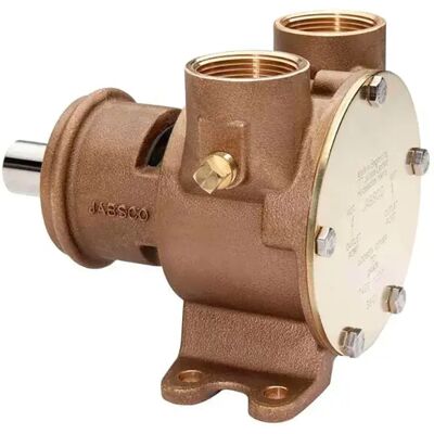 Jabsco Bomba 200l/min 1 1/4npt 62gpm Bronze One Size Jabsco Bomba 200l/min 1 1/4npt 62gpm Bronze One Size