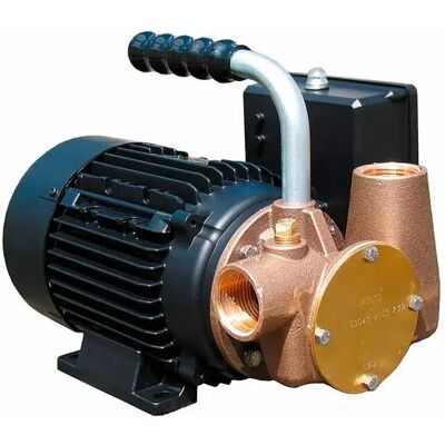 Jabsco Bomba Utility 33l/min 1´´ 2.8a 230v Black / Bronze 212 x 199 x 288 mm Jabsco Bomba Utility 33l/min 1´´ 2.8a 230v Black / Bronze 212 x 199 x 288 mm
