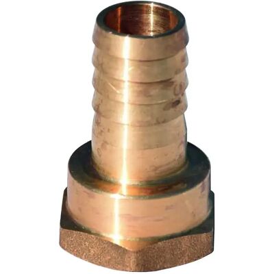 Yachticon Conector Recto Latón 1 1/4´´ 38 Mm Brass One Size Yachticon Conector Recto Latón 1 1/4´´ 38 Mm Brass One Size