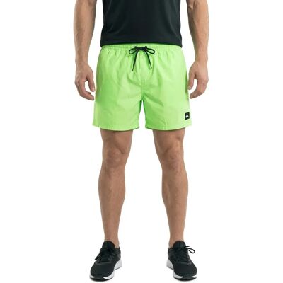 Quiksilver Bañador Corto Everyday Volley 15´´ Green Gecko L Quiksilver Bañador Corto Everyday Volley 15´´ Green Gecko L