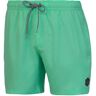 Protest Dave Swimming Shorts Verde S Hombre