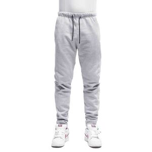 Hydroponic Steam Sweat Pants Gris 14 Years