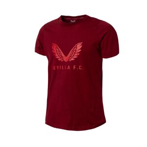 Castore - Camiseta Sevilla FC Fanswear 2023-2024, Unisex, Biking Red, L