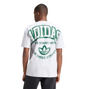 Adidas - Camiseta Graphics, Hombre, Light Grey Heather, S