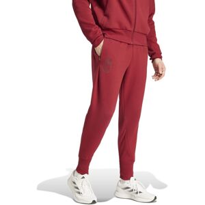 Adidas - Pantalón largo Bélgica Fanswear Eurocopa 2024, Unisex, Team Coll Burgundy, XL