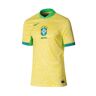Nike - Camiseta Brasil Primera Equipación Copa América 2024, Unisex, Dynamic Yellow-Lemon Chiffon-Green Spark, M